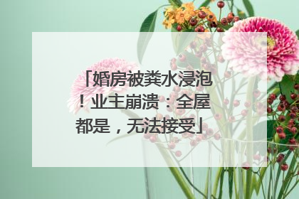 婚房被粪水浸泡！业主崩溃：全屋都是，无法接受
